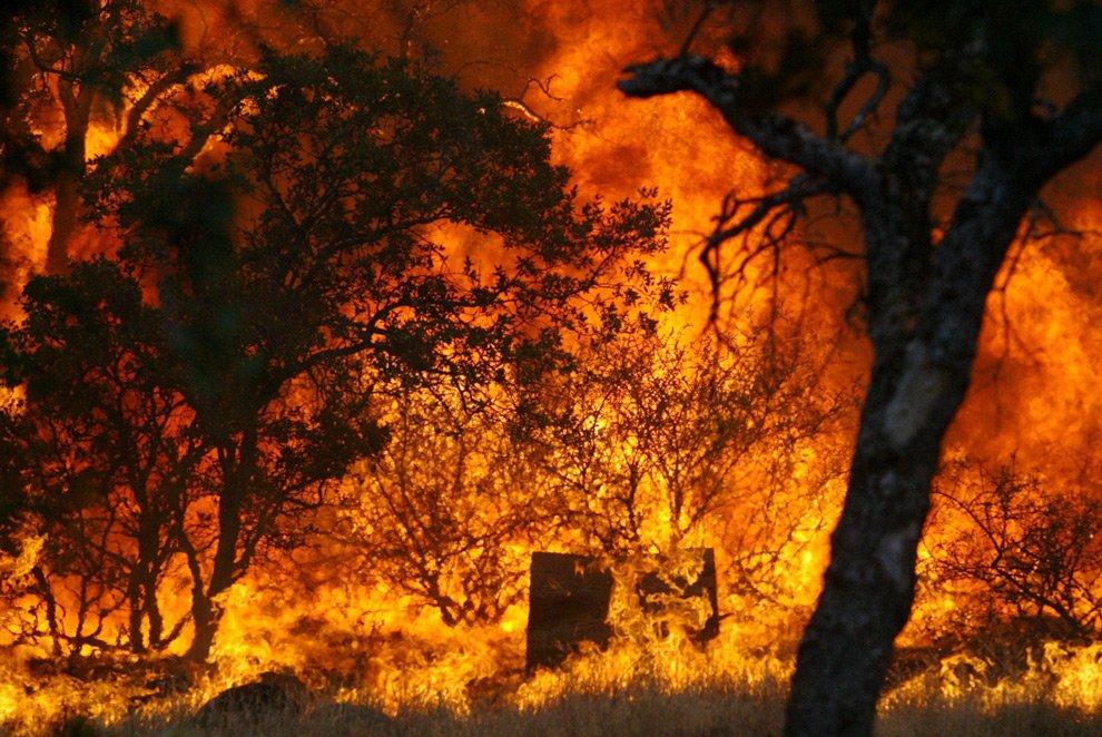  Incendiul incontrolabil din California a omorât cel puțin 74 de oameni