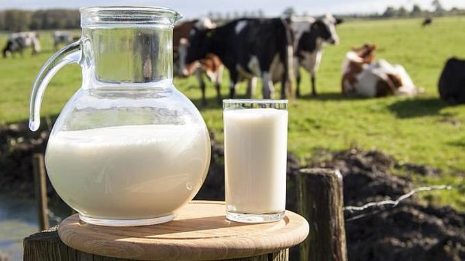  Daea: Legea laptelui vrea să elimine falsurile de pe piaţa laptelui, firmele nu informează corect