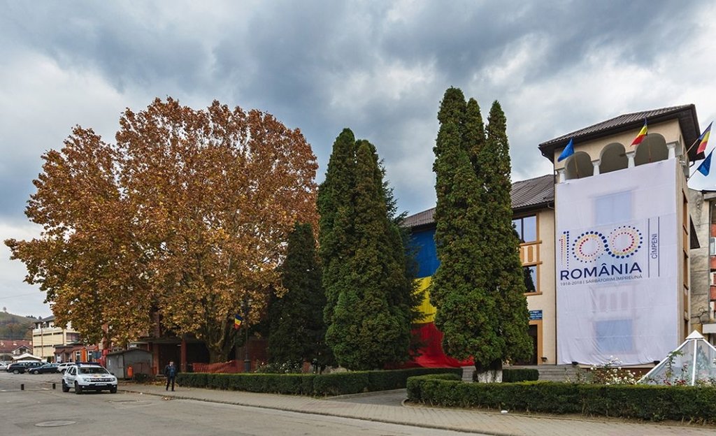  Un platan din Romania ar putea deveni Arborele European al anului 2019. Putem vota
