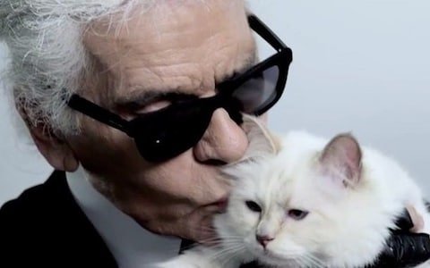  Pisica birmaneză a lui Karl Lagerfeld, numită una dintre moştenitoarele averii sale