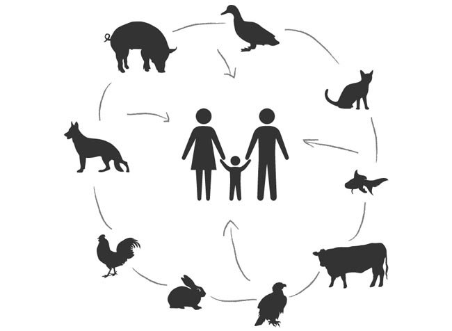  Animalele pot transmite boli oamenilor?
