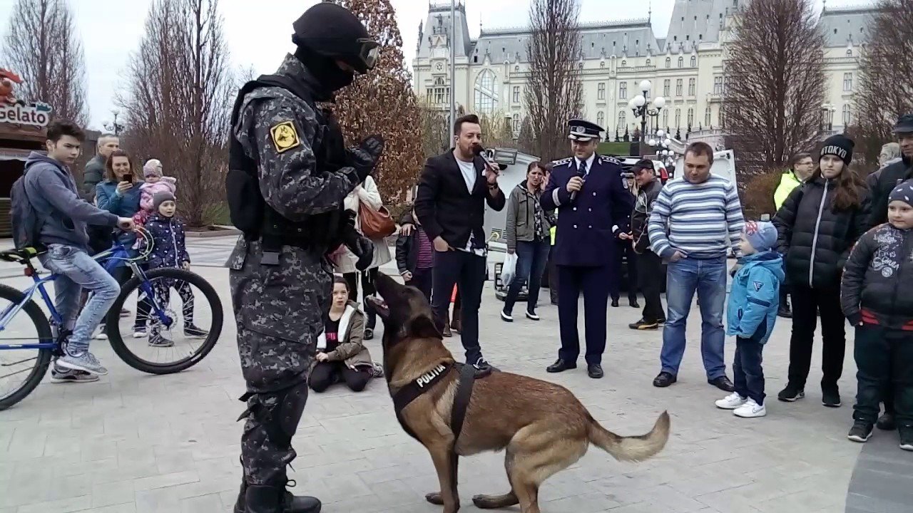  Demonstrații de dresaj canin, brelocuri cu amprente și alte surprize pentru ieșeni