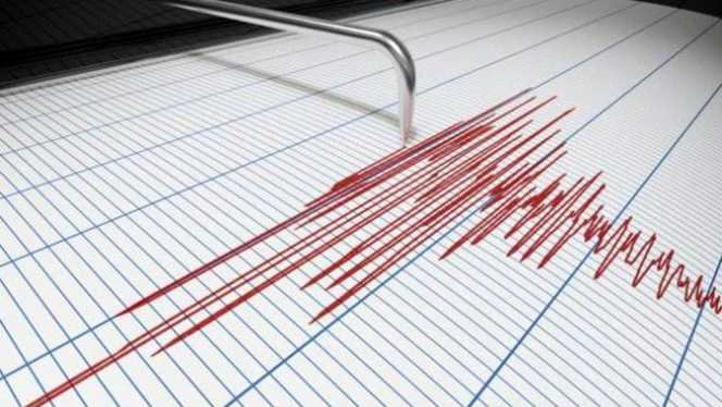  Două cutremure s-au produs aproape simultan în Neamţ şi Vrancea