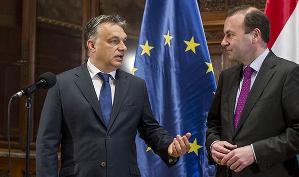  Fidesz îi retrage susţinerea lui Manfred Weber la preşedinţia Comisiei Europene