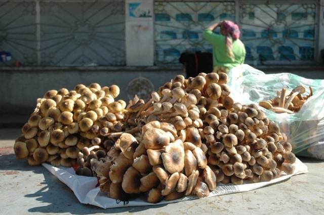  ATENŢIE! În pieţele din Iaşi sunt de vânzare ciuperci otrăvitoare!