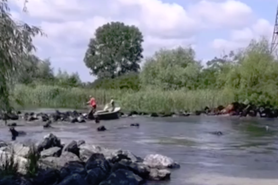  VIDEO: Barbarie în Delta Dunării. Cai înecaţi după ce o ambarcaţiune a încercat să forţeze trecerea