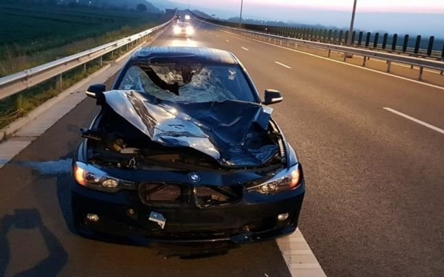  Accident pe o autostradă din România. Maşină, distrusă de un cerb