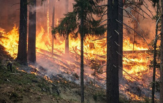  Incendii puternice de vegetaţie în Portugalia. S-a decis mobilizarea armatei