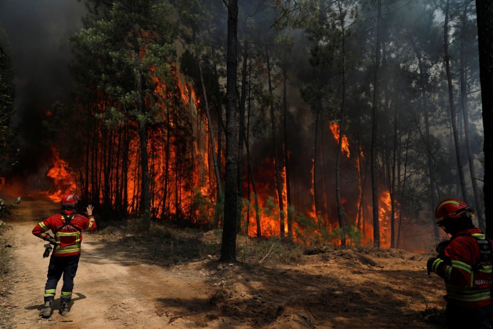  VIDEO: Cum ard pădurile din Portugalia. Flăcări până la cer
