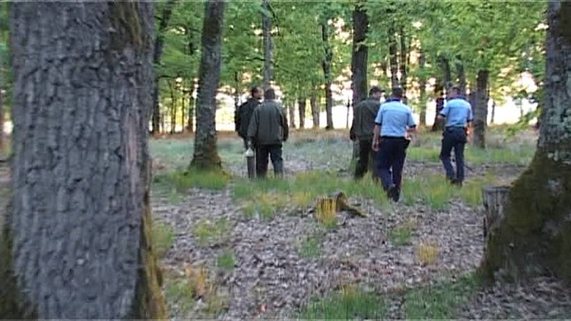  A fost găsită minora de 15 ani dispărută în pădurea Poieni. La căutări s-au folosit și câini