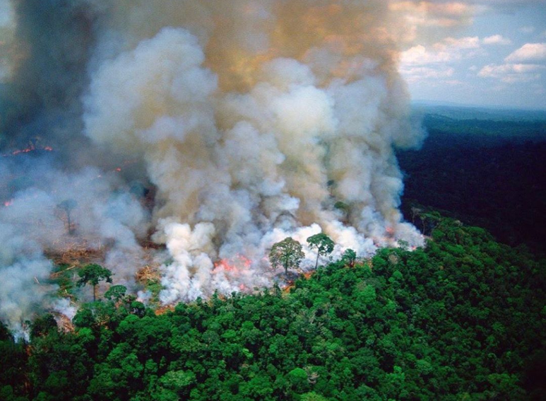  Mii de incendii devastează Pădurea amazoniană. Fumul a ajuns pe coasta Atlanticului