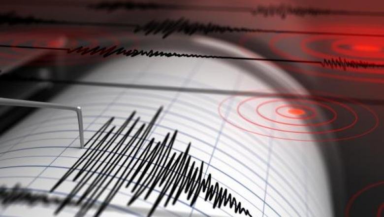  Cutremur cu magnitudinea 4 pe scara Richter, vineri dimineață în zona Vrancea