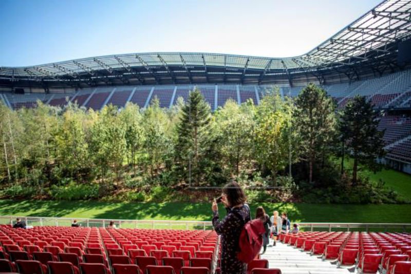  VIDEO Stadion transformat în pădure. Semnal de alarmă legat de încălzirea globală