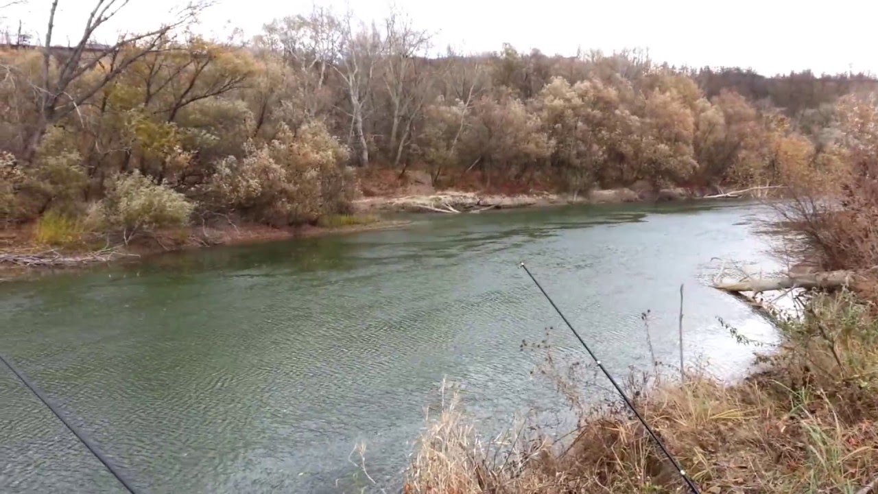  S-au înlesnit condiţiile pentru a putea pescui pe râul Prut