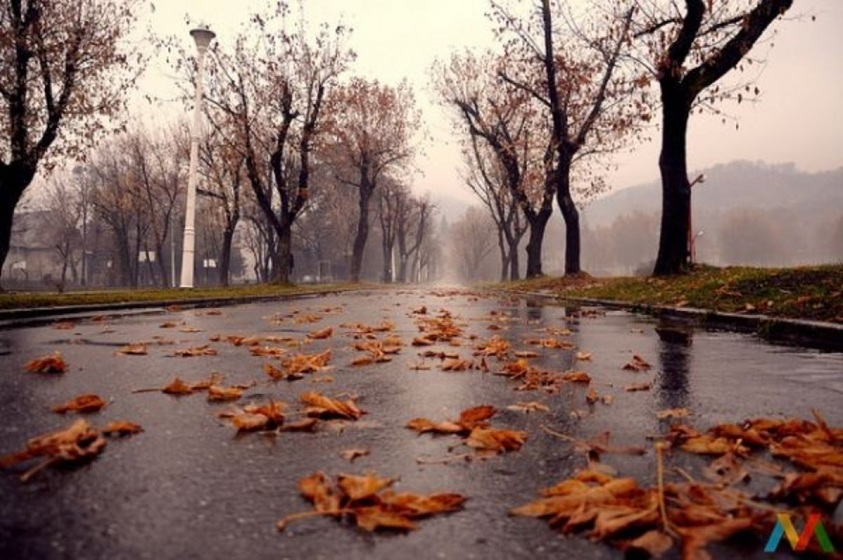  Vremea în noiembrie. ANM anunță când vine frigul în România