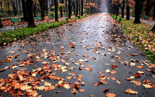  Temperaturile scad și reapar ploile în perioada 21 octombrie – 3 noiembrie