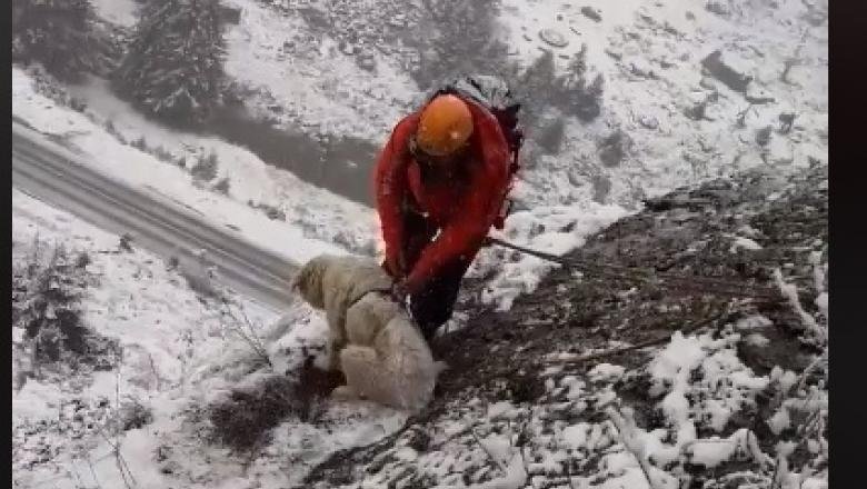 VIDEO  Operaţiune spectaculoasă de salvare a unui câine blocat de câteva zile pe o stâncă în Munții Făgăraș