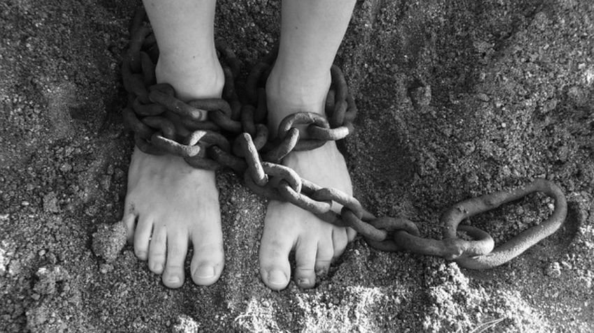 Cioban arestat: sclavie chiar la marginea Iaşului. Fetiţe şi băieţei forţaţi să muncească la stână