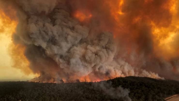  VIDEO: Incendiile din Australia au scăpat de sub control. Zeci de mii de oameni îşi părăsesc locuinţele