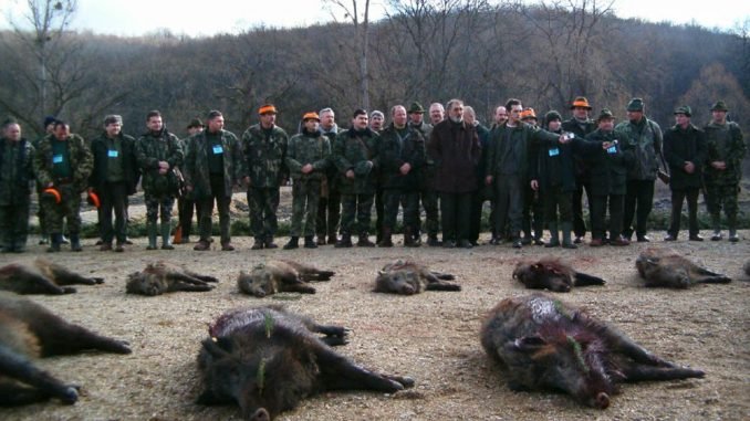  Ţiriac are interdicţia să mai vâneze anul acesta la Balc din cauza pestei porcine