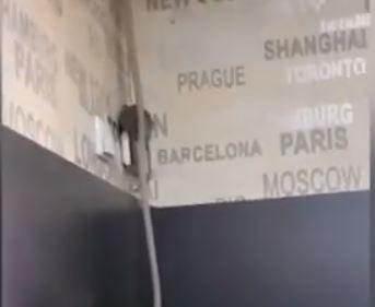  (VIDEO) Șobolan filmat când se plimbă pe peretele unei cofetării pline de clienţi