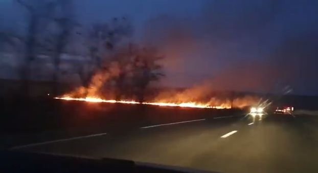  (VIDEO) Incendiu puternic între Strunga şi Târgu Frumos