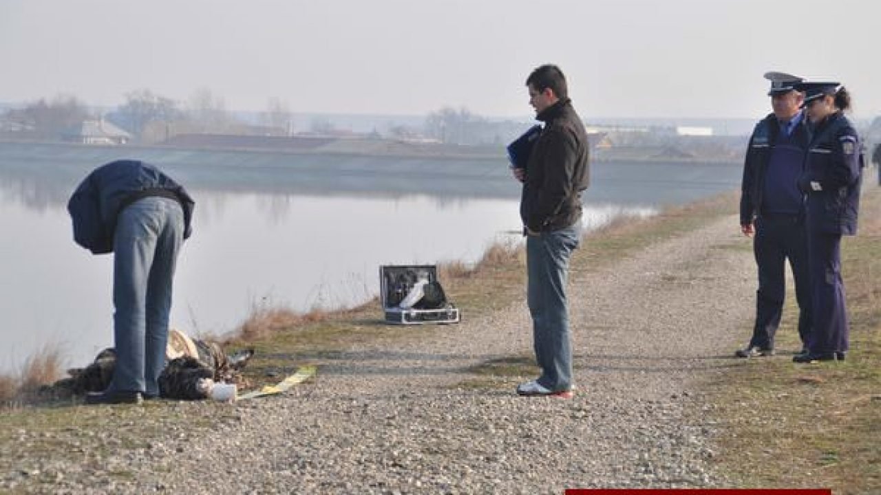  Cadavrul unui bărbat, găsit în râul Bistriţa. Ar putea fi al celui care şi-a ucis soţia