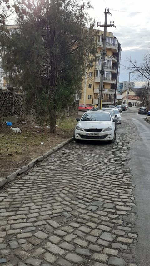  FOTO: Stradă din Iași uitată de autorități de 60 de ani. Încă se vede piatra cubică