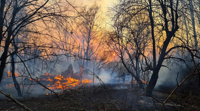 Suprafaţa incendiului de pădure din zona de excludere de la Cernobîl a crescut de trei ori