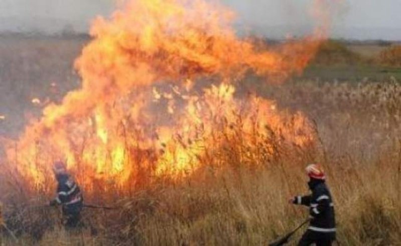 Doi ieșeni au murit arși de vii după ce au dat foc vegetației din livadă