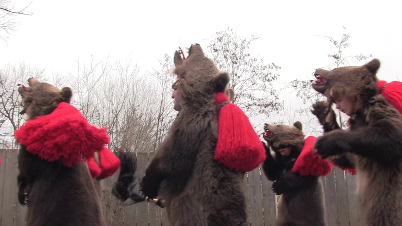  Ieșean deghizat în urs de Anul Nou, condamnat pentru tâlhărie