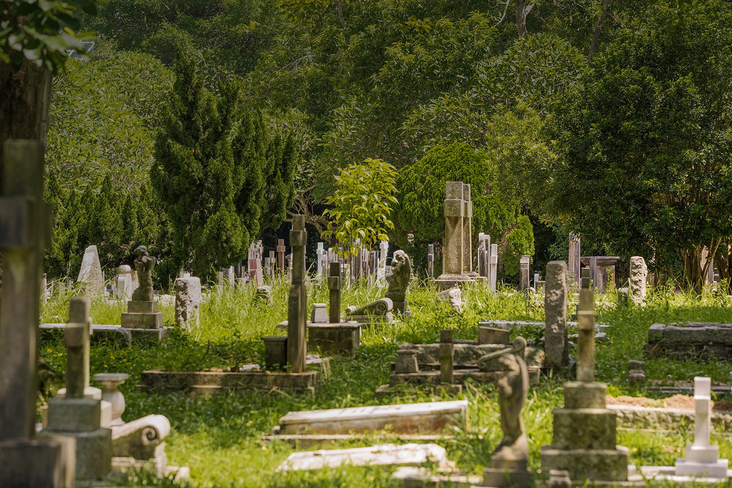  Un cimitir nou în judeţul Iaşi pentru „îmbunătăţirea calităţii vieţii în comunitate“