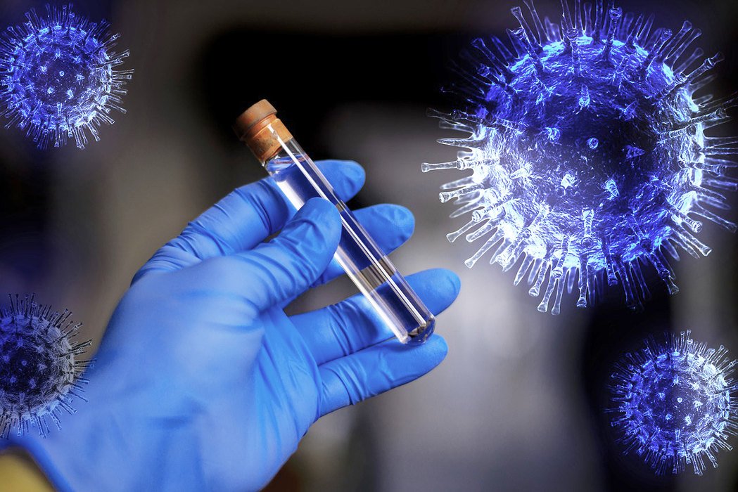  Anticorpii lamelor neutralizează noul coronavirus