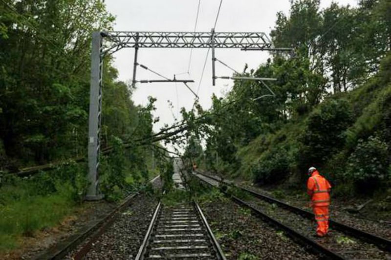  Întârzieri de peste patru ore cu trenul la intrarea în București din cauza unei firme care făcea defrișări și a blocat calea ferată cu copaci