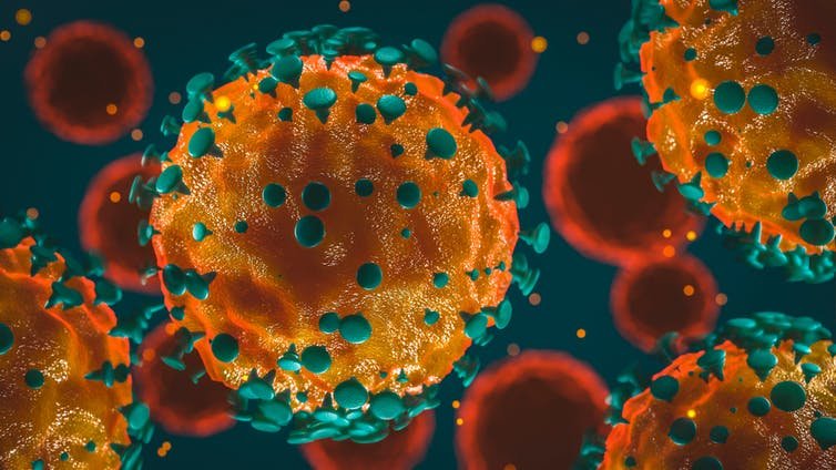  S-a descoperit cum se camuflează noul virus în organismul uman. Acționează ca în filmele SF