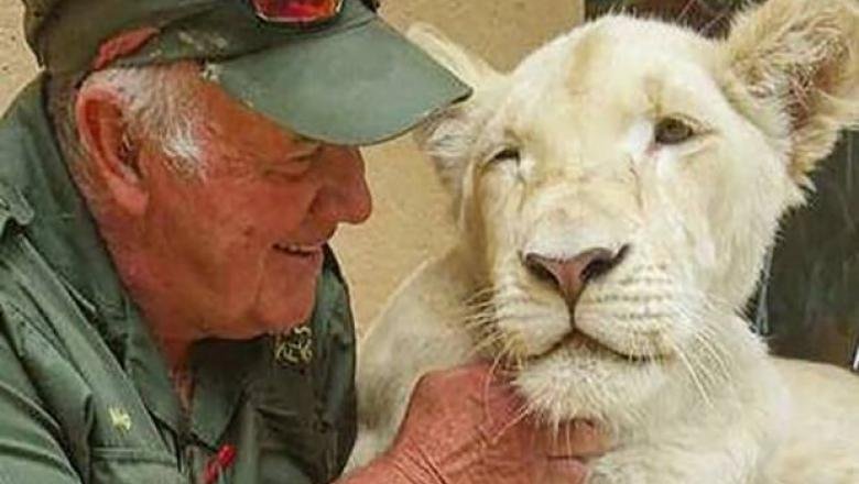  Un ecologist a fost omorât de leii pe care îi salvase și îi crescuse de când erau pui