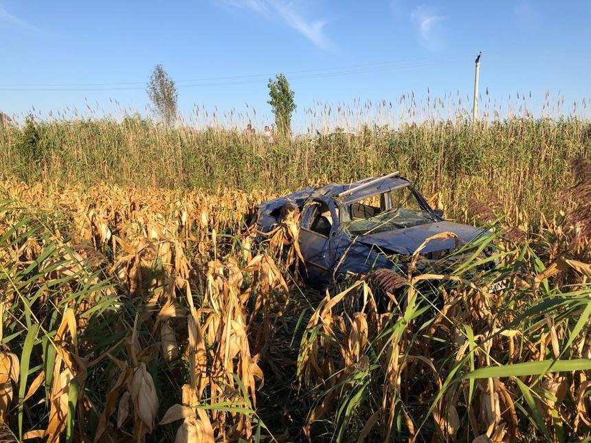  Mașină în care se aflau doi tineri morți, găsită întâmplător într-un lan de porumb