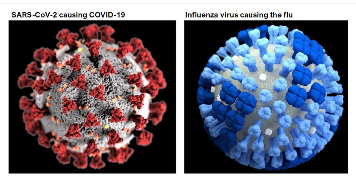  Rafila: Circulația virusului gripal e de 500 de ori mai mică