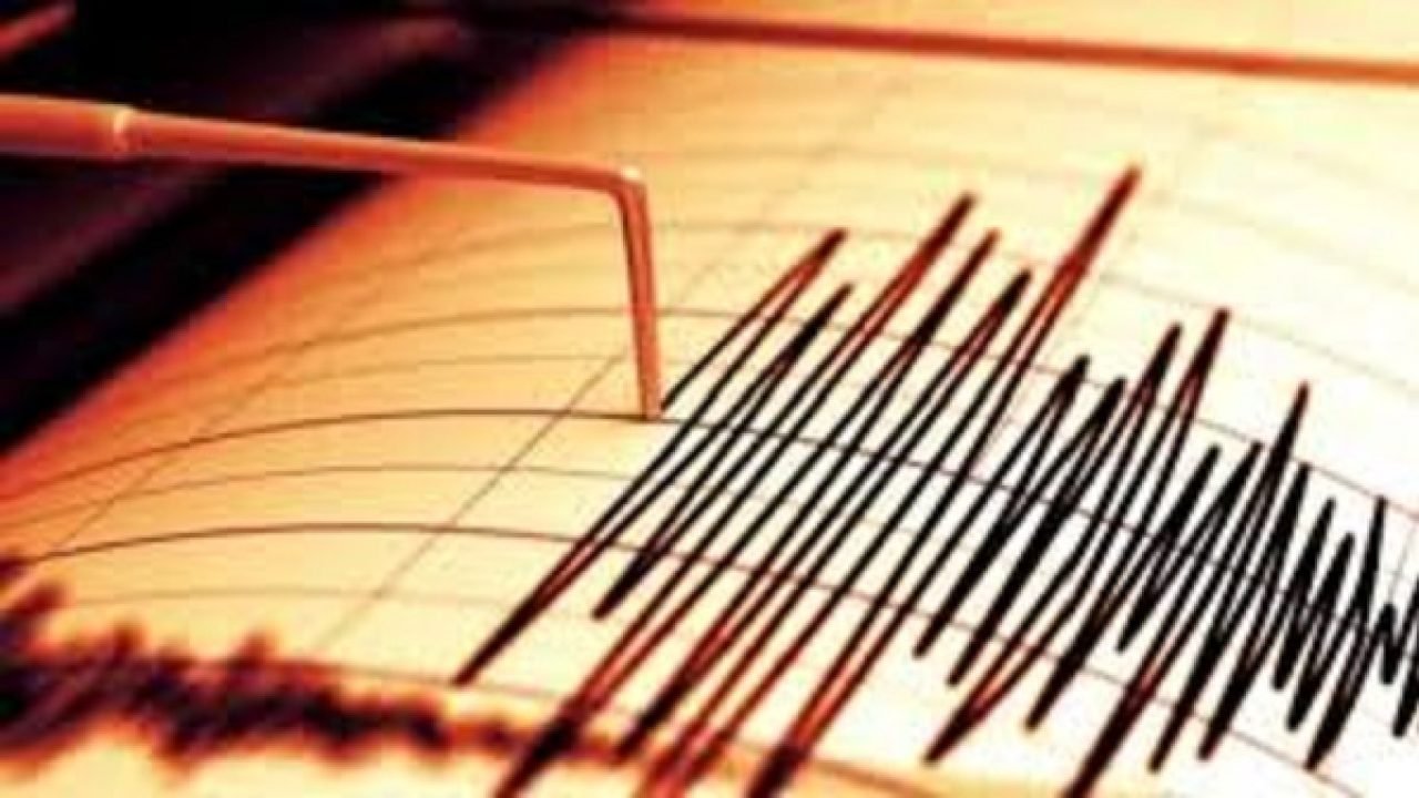  Patru cutremure, vineri, în România. În ce regiuni s-au simțit și ce magnitudine au avut