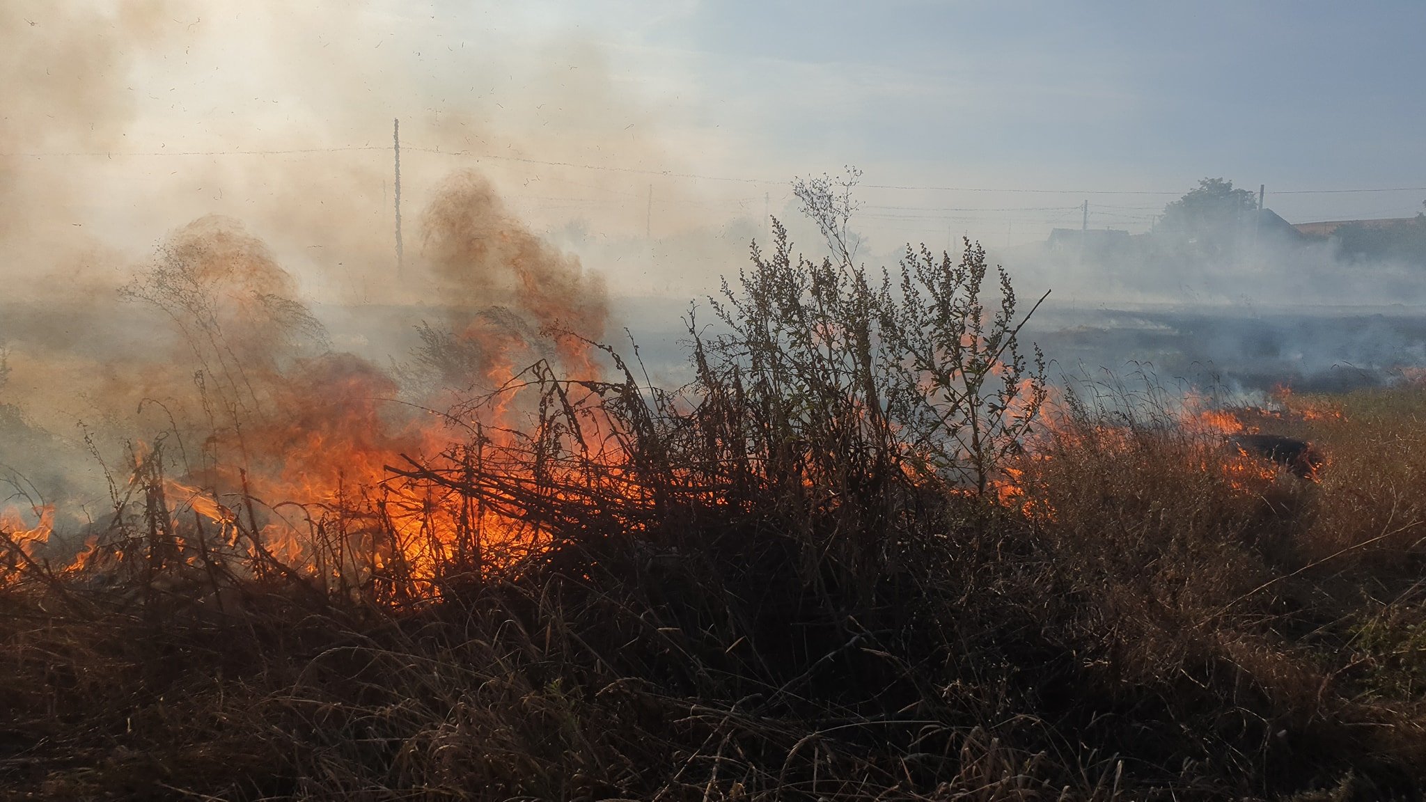  VIDEO-FOTO: Incendiu puternic în Leţcani, în apropierea trecerii de cale ferată