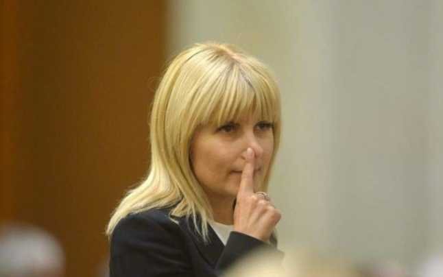  Elena Udrea, explicaţii despre gestul degetului dus la nas în Parlament