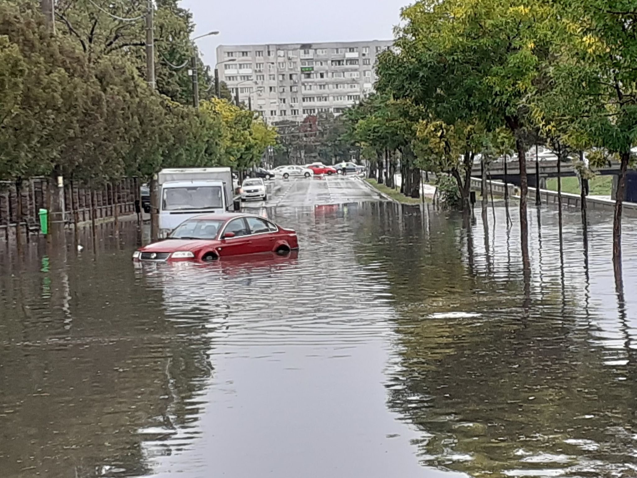  FOTO: Străzi inundate, copaci căzuți peste mașini în urma ploii la Iași (UPDATE)