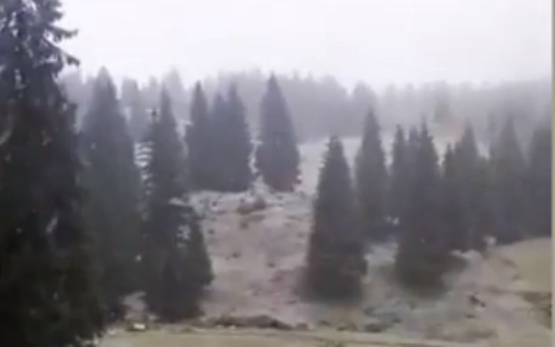  VIDEO: Zăpada a ajuns în România. Ninge cu fulgi mari în Alba