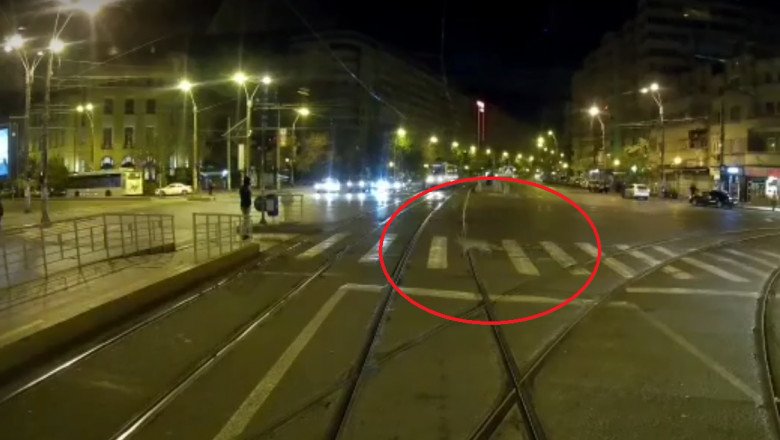  Vulpea  care rătăcea prin București, ucisă de o mașină
