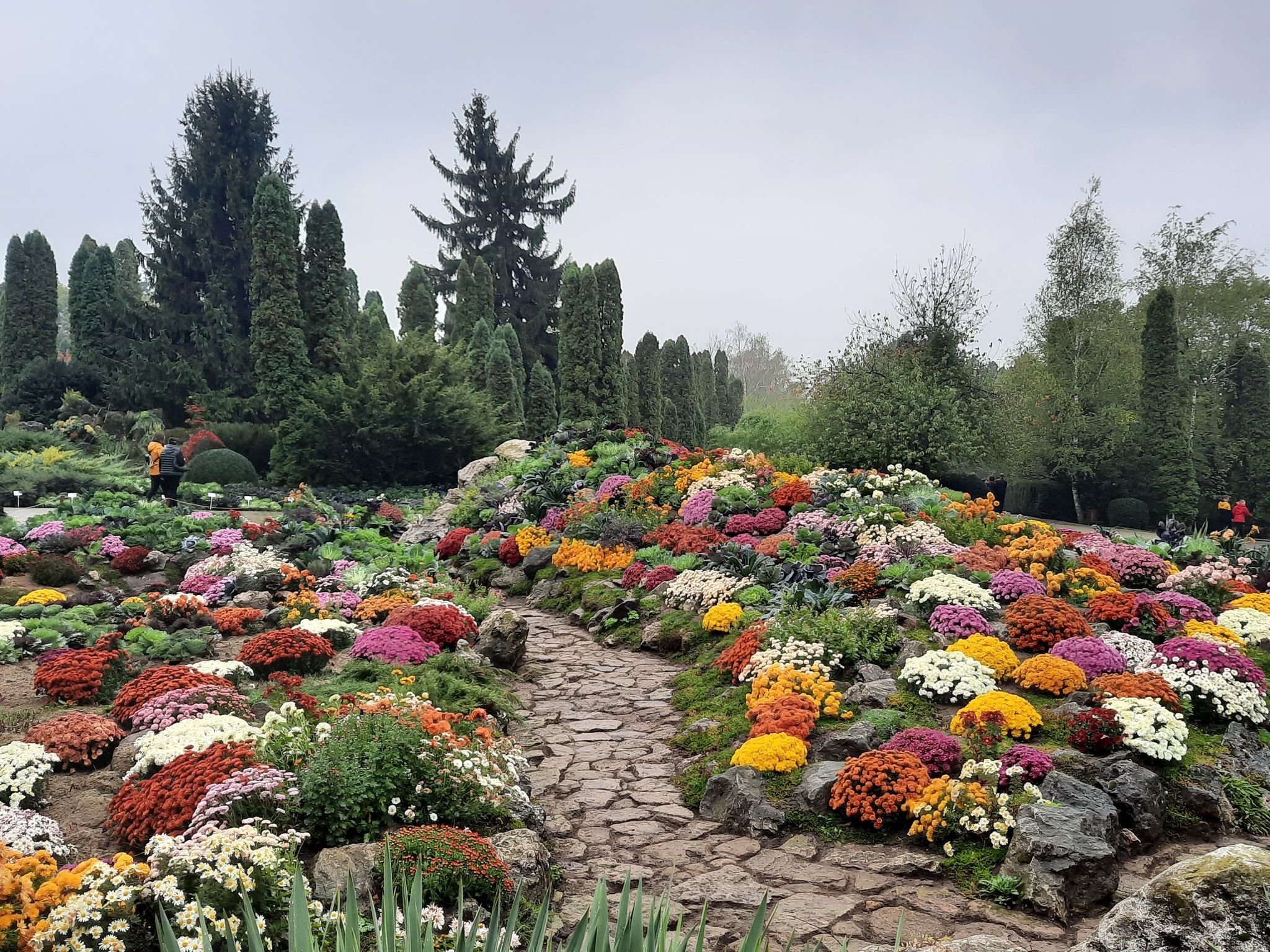  IMAGINI: Flori de toamnă în grădina botanică. Expoziția s-a deschis