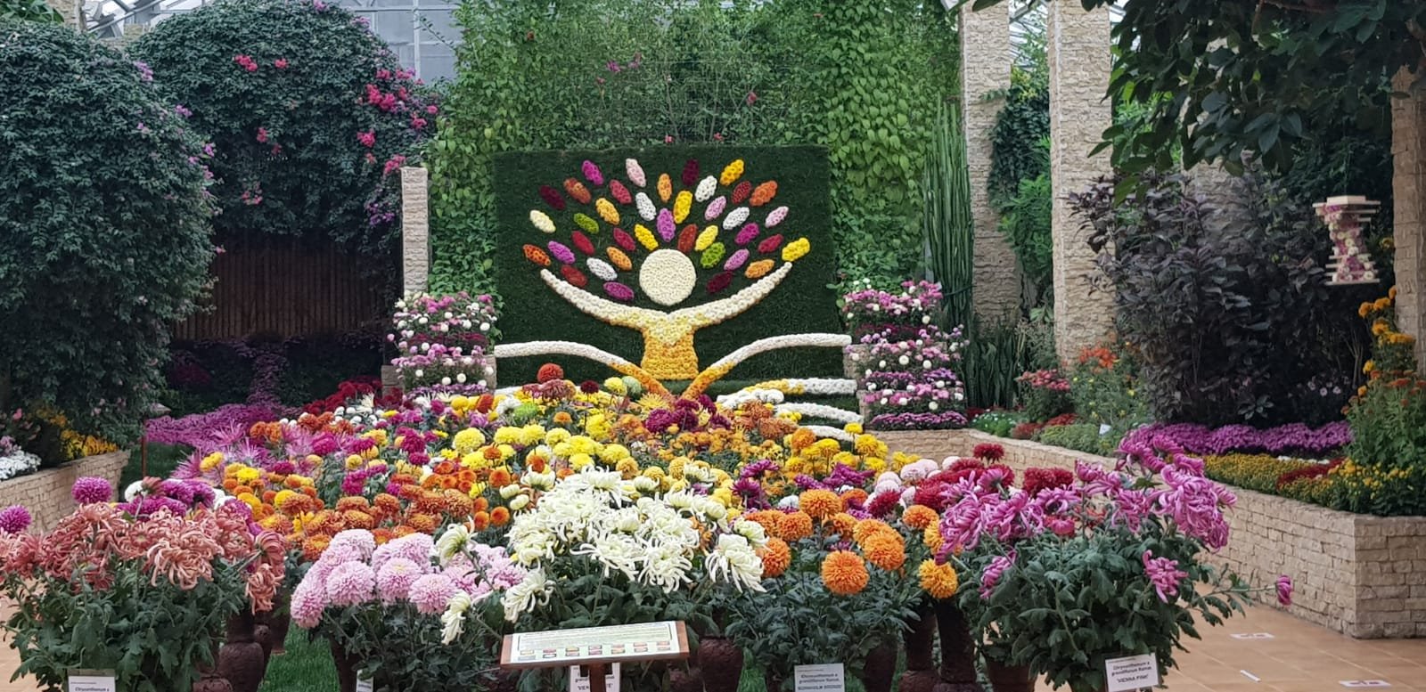  GALERIE FOTO Grădina Botanică Iași, polul atracției în această perioadă: mii de flori și sculpturi vegetale