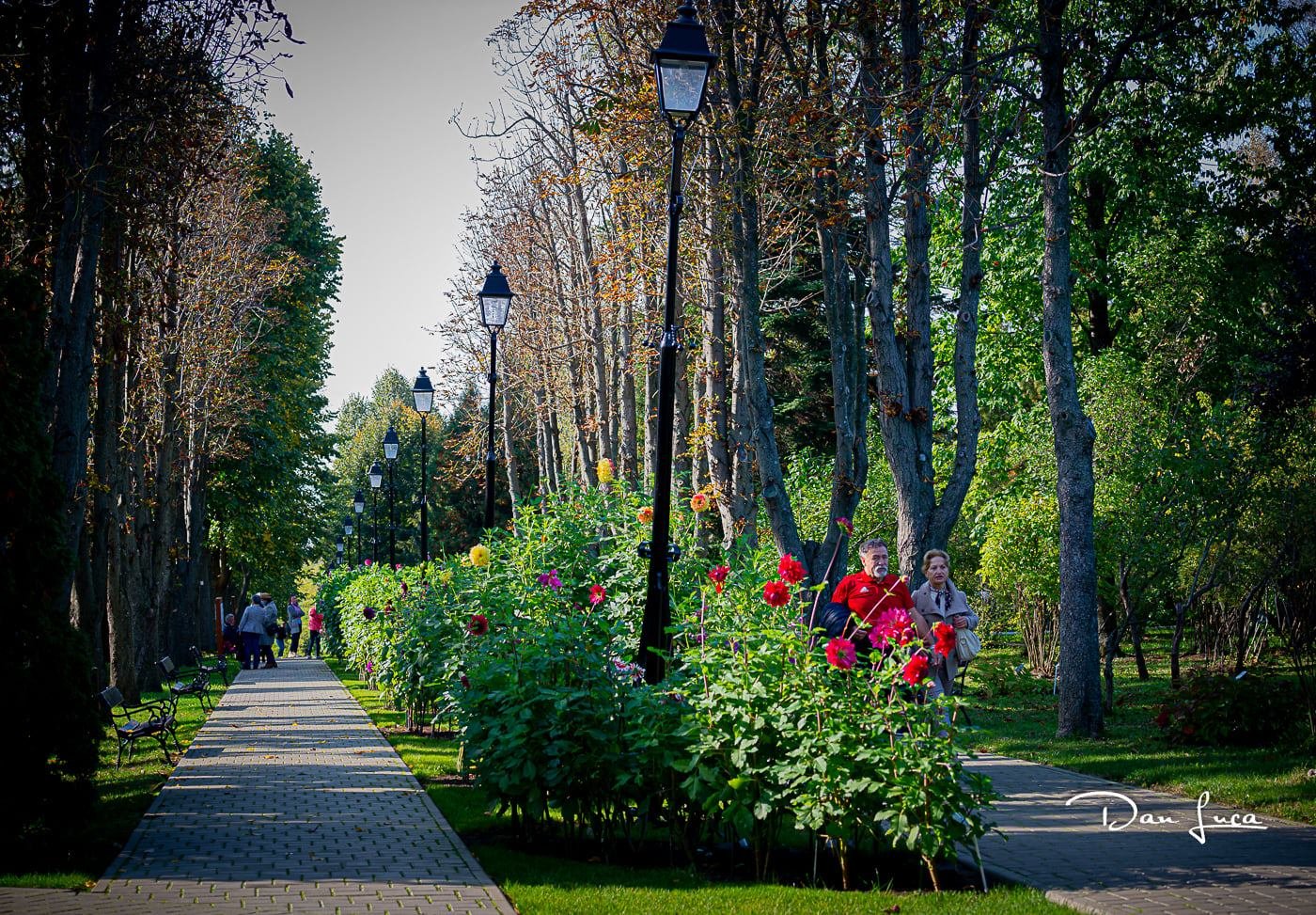  FOTO: Grădina Botanică Iași, superbă în culorile toamnei. Invitație la o plimbare aici