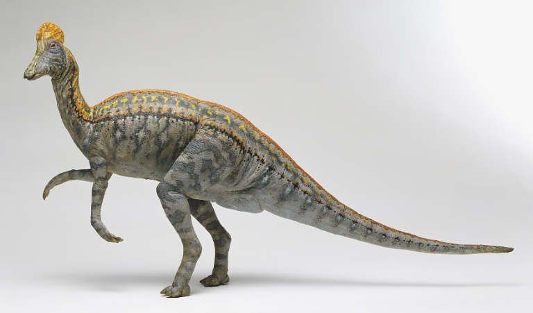  Descoperiri de noi fosile sugerează că dinozaurii călătoreau peste oceane