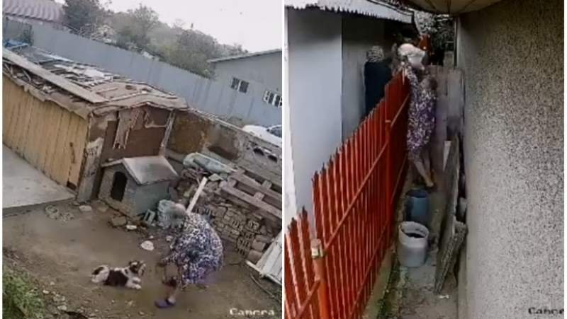  VIDEO: Căutări cu sfârșit tragic: cățelușa răpită de surorile pensionare din Galați pentru că le deranja lătratul ei a fost găsită moartă