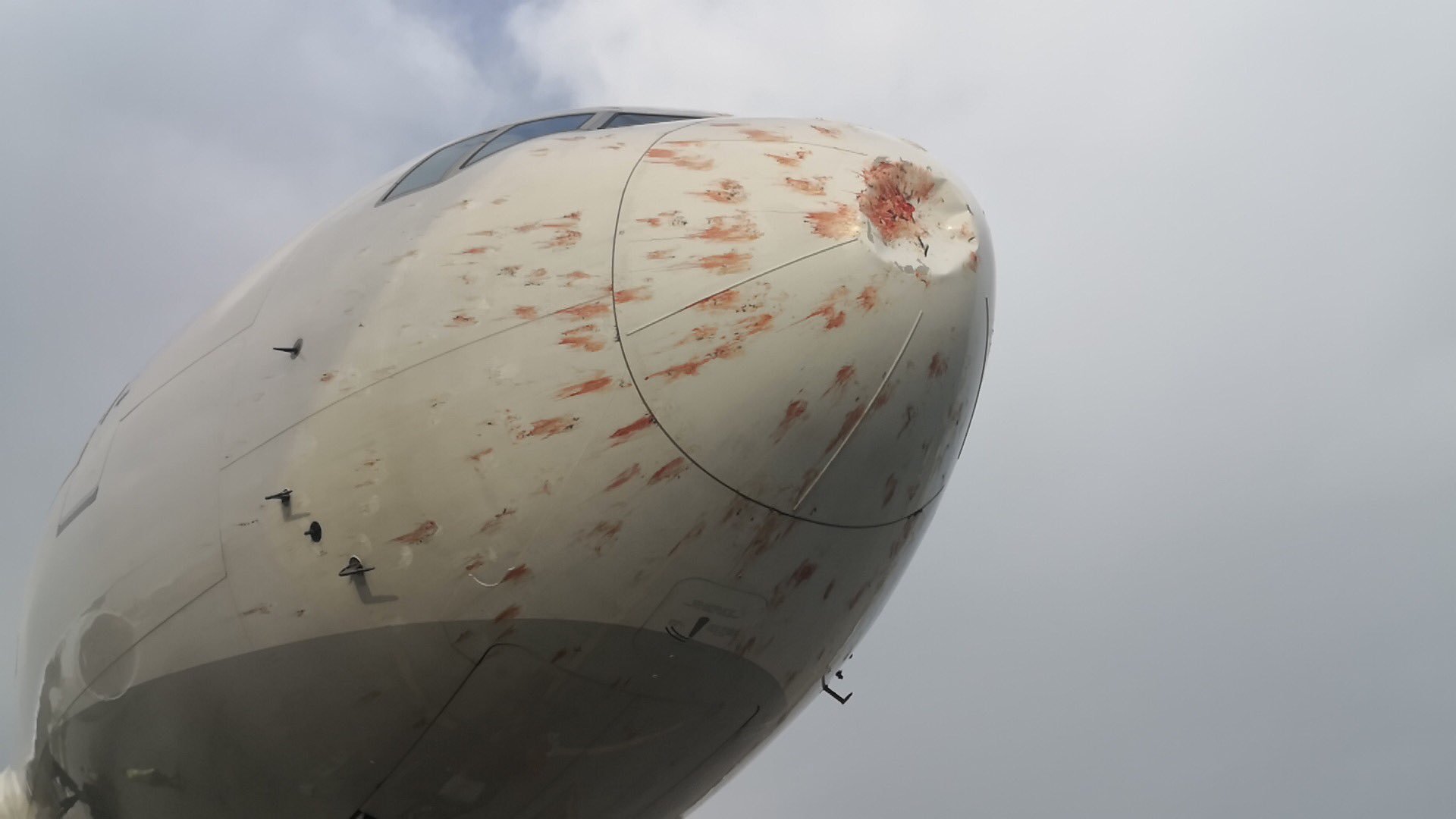  VIDEO Avion Boeing ciuruit pur și simplu de un stol de păsări. Pilotul, forțat să aterizeze